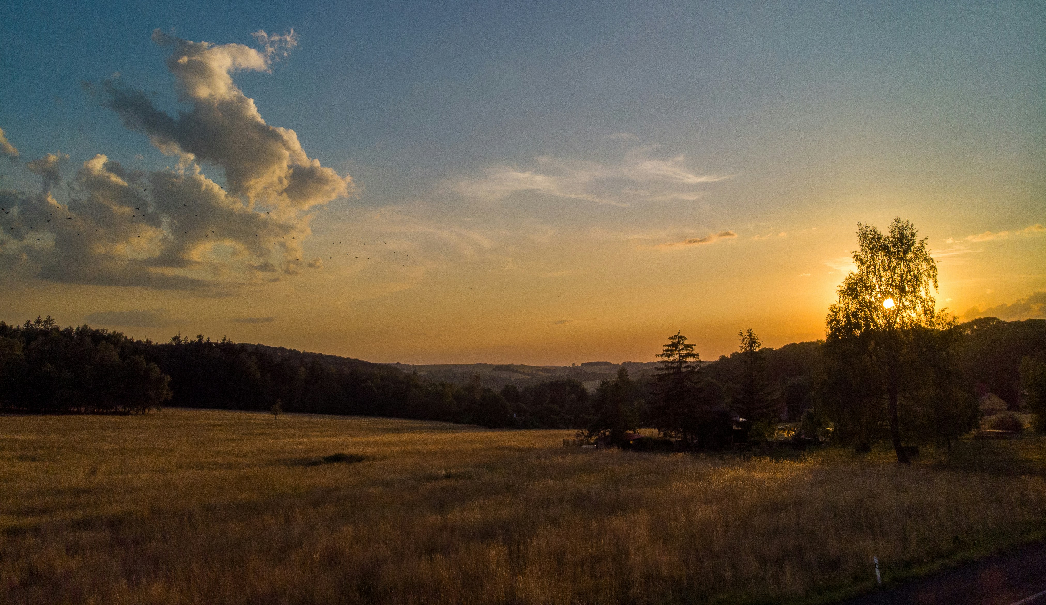 Photo by davidseibert