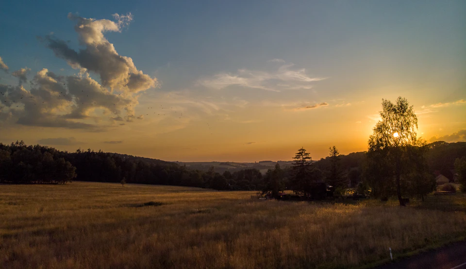 The image depicts a serene rural landscape at sunset. The sky is painted with hues of orange and blue, serving as a stunning backdrop to the scene below. Dominating the center of the frame are two trees standing tall on either side of a dirt road that cuts through the field. The field itself is a vast expanse of dry grass, stretching out towards the horizon where it meets the sky. In the distance, beyond the field and the road, there's a hill dotted with houses nestled among lush green trees.