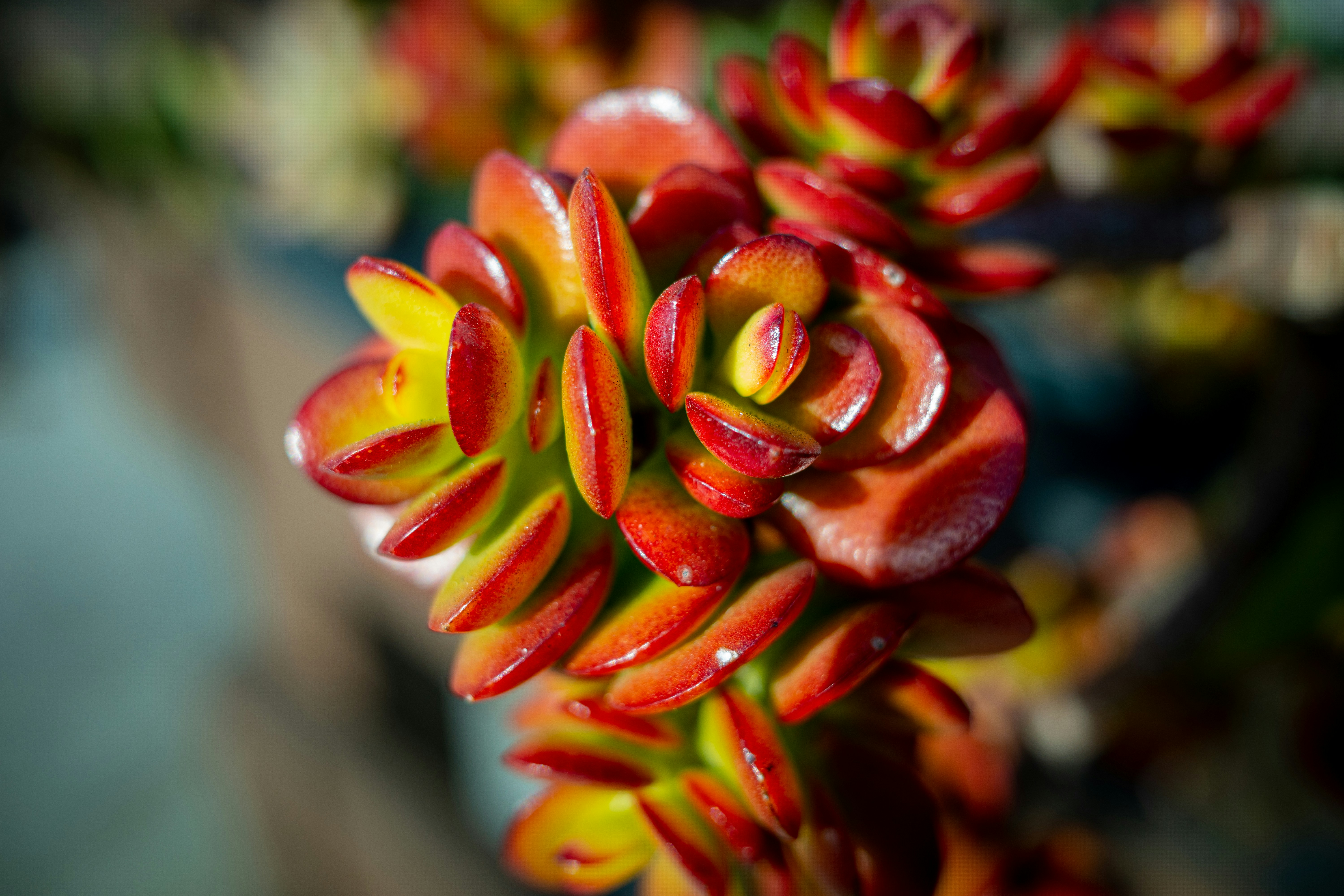 Photo by april_vasquez