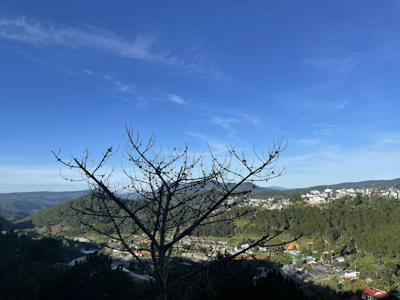 Best Rooftop Cafes in Dalat With Views Worth the Climb