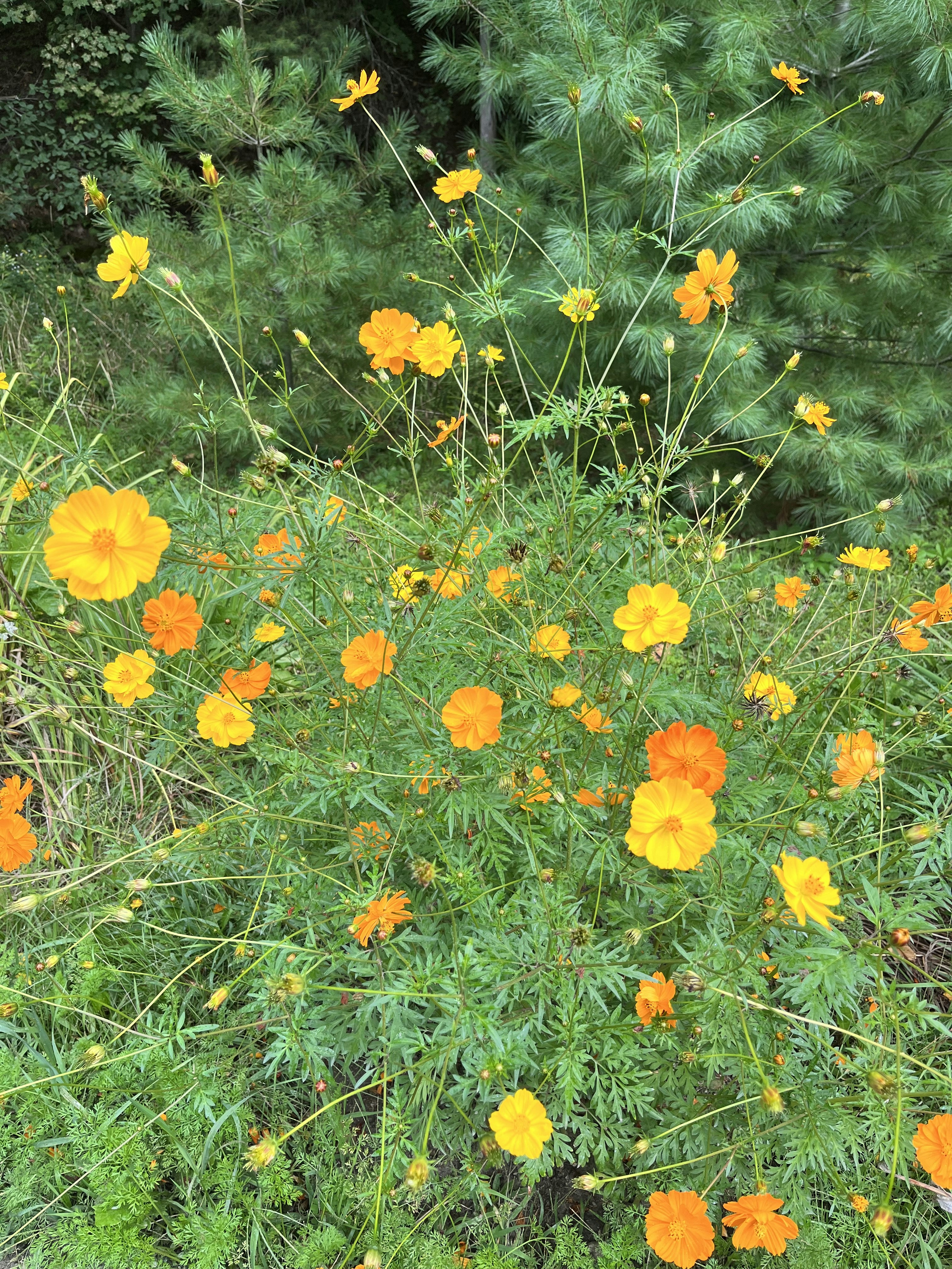 Photo by stephaniedavison