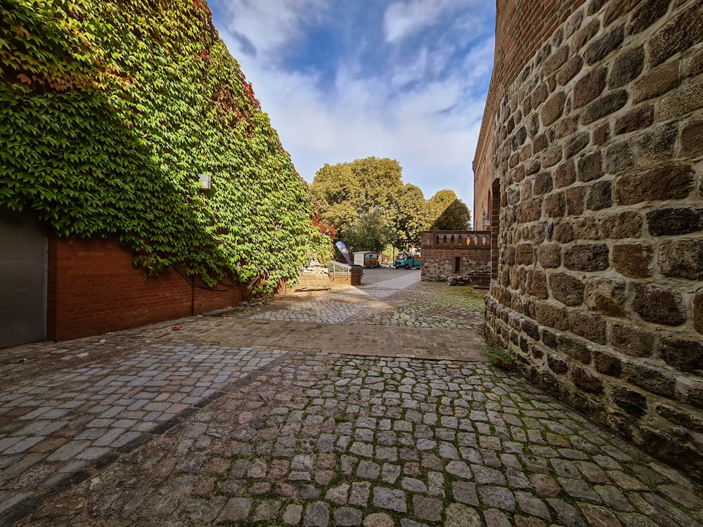 a cobblestone street with trees on either side of it