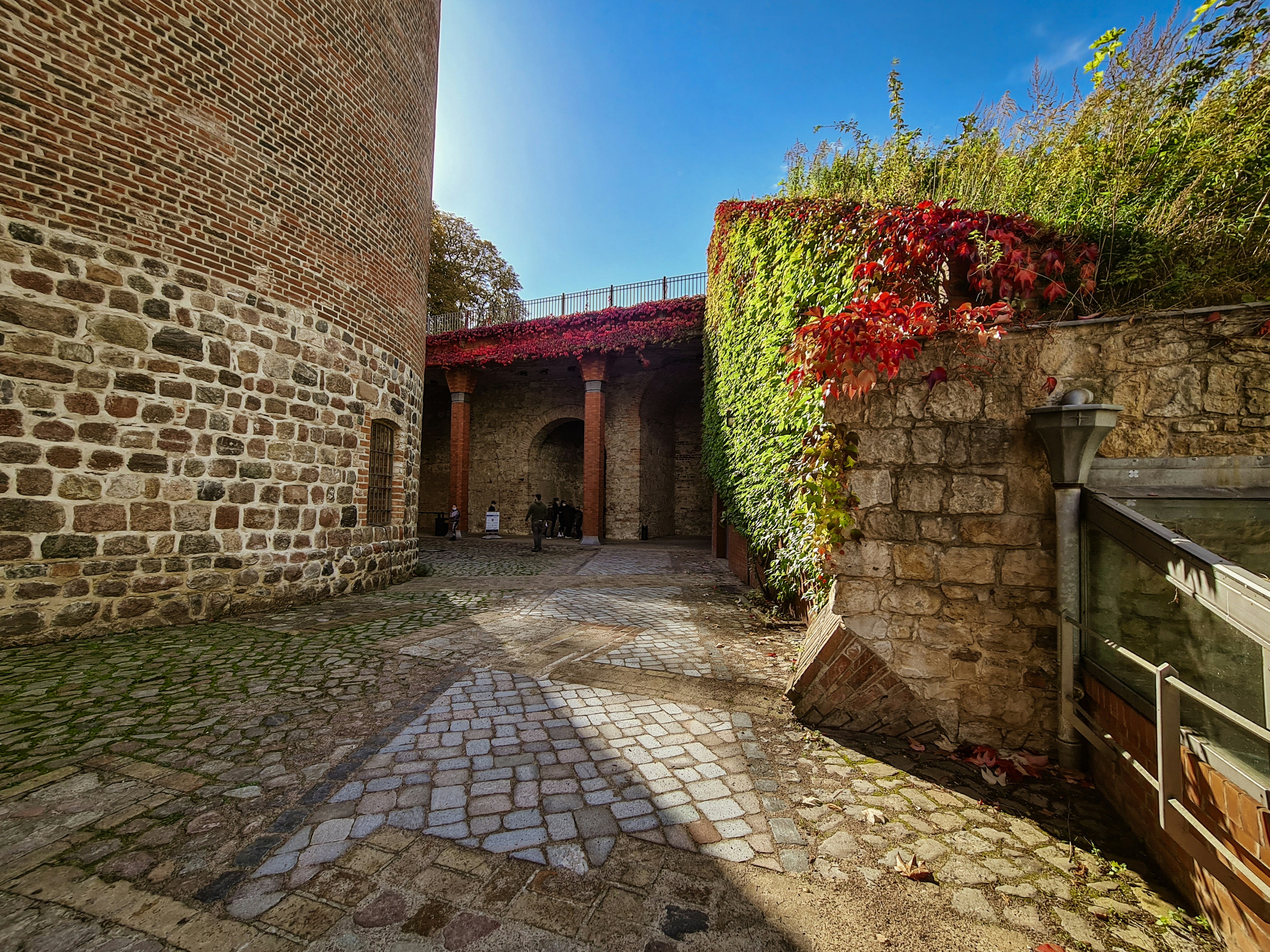 Photo by meshaal_hajali