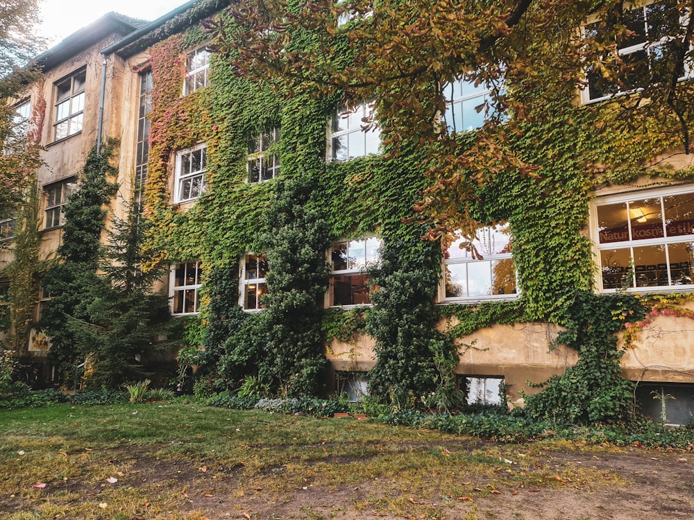 a building with ivy on it