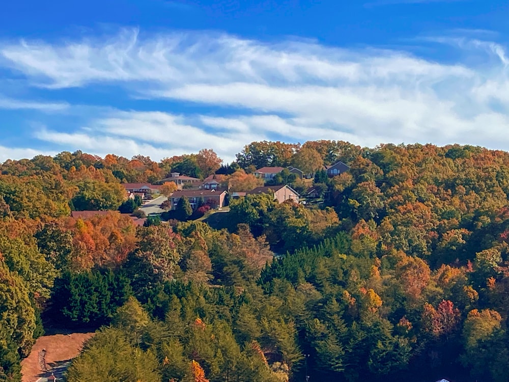 a landscape with trees and houses