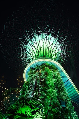 An illuminated structure resembling a futuristic tree with lush greenery and a canopy glowing in various shades of green and blue. The intricate design featuring a network of branches is set against a dark night sky, with small lights scattered around.