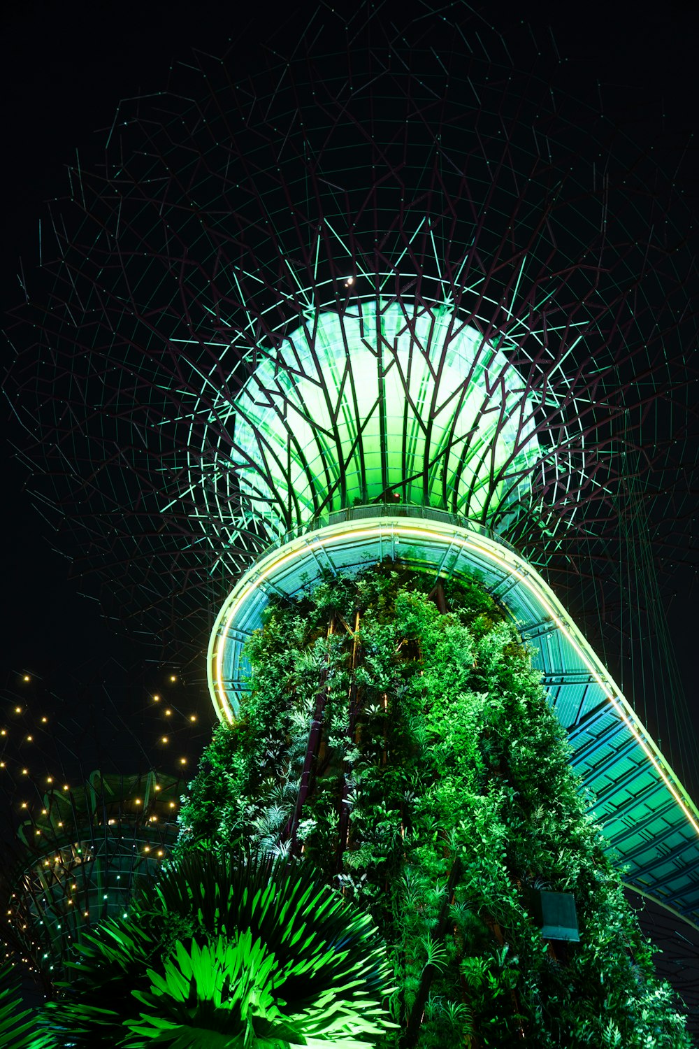 a large ferris wheel at night