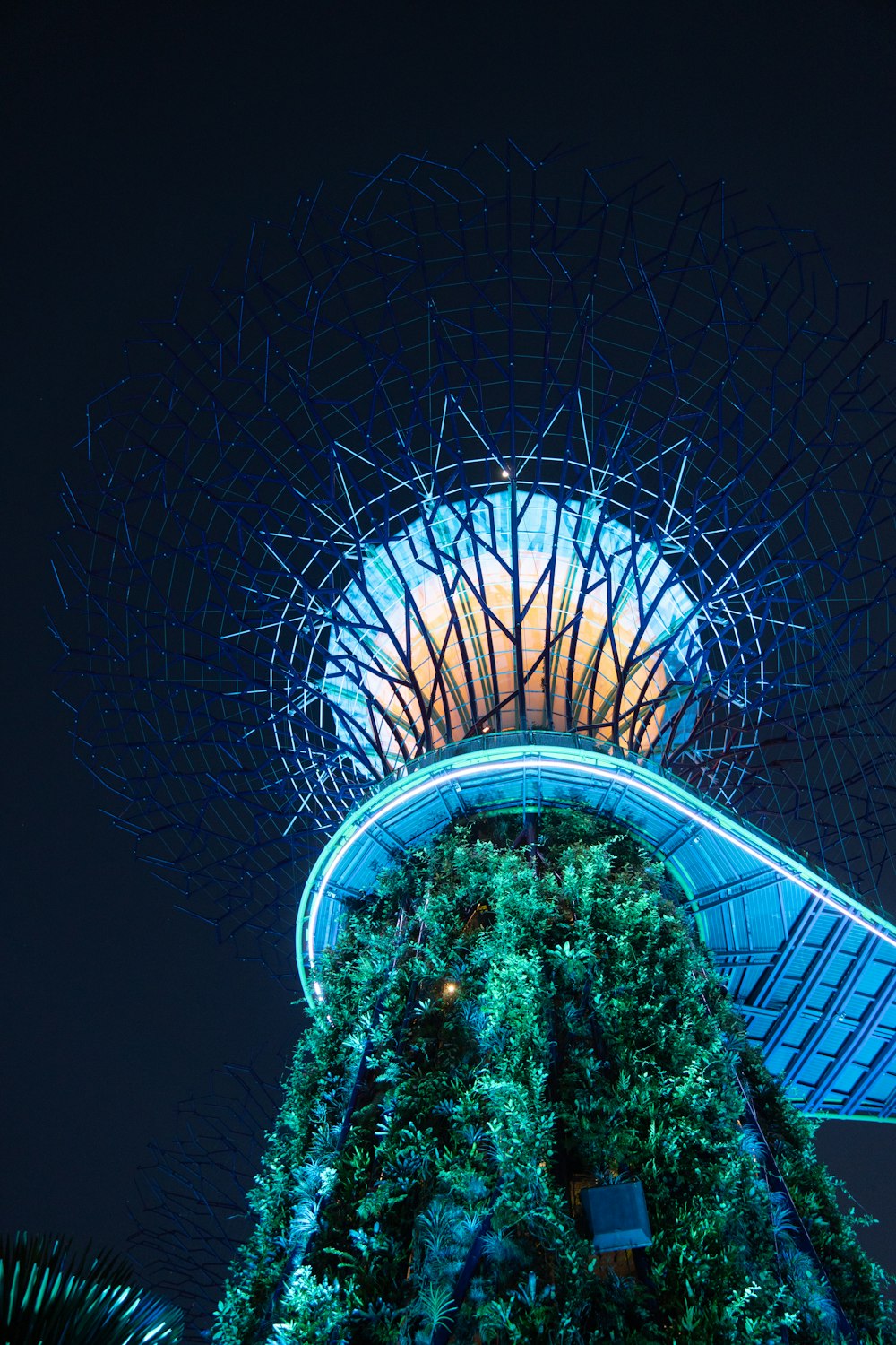 a large ferris wheel at night