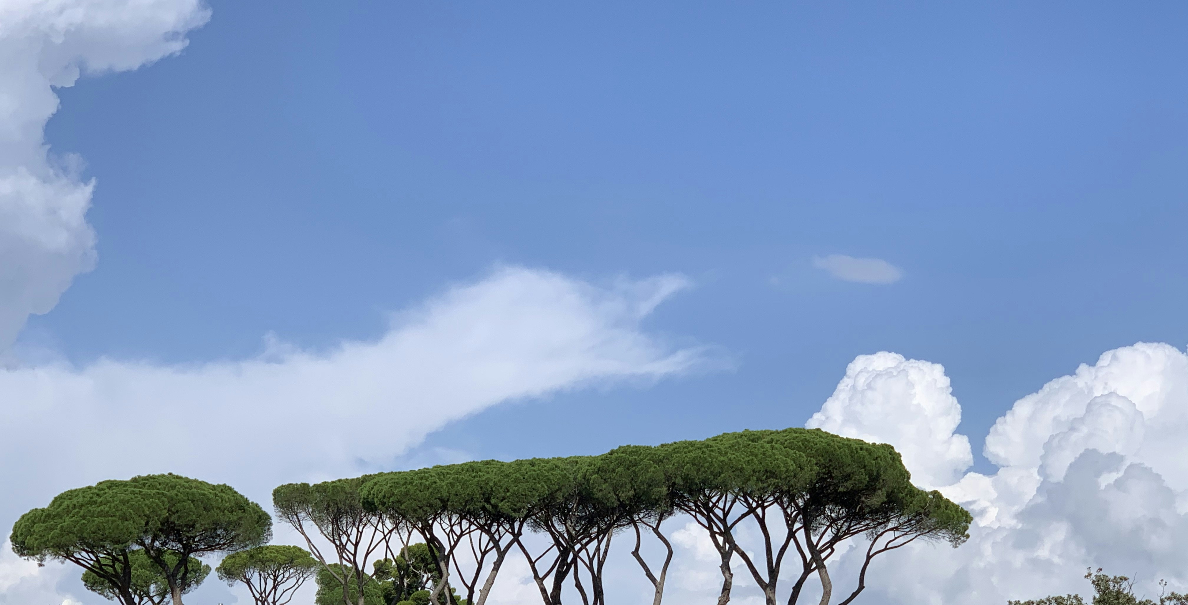 Photo by garyclassyman