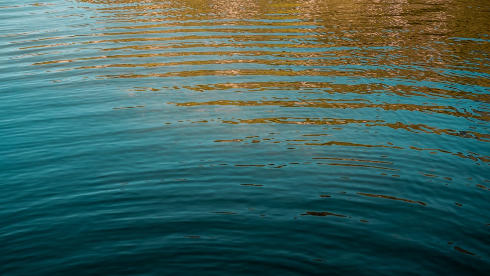 a body of water with ripples