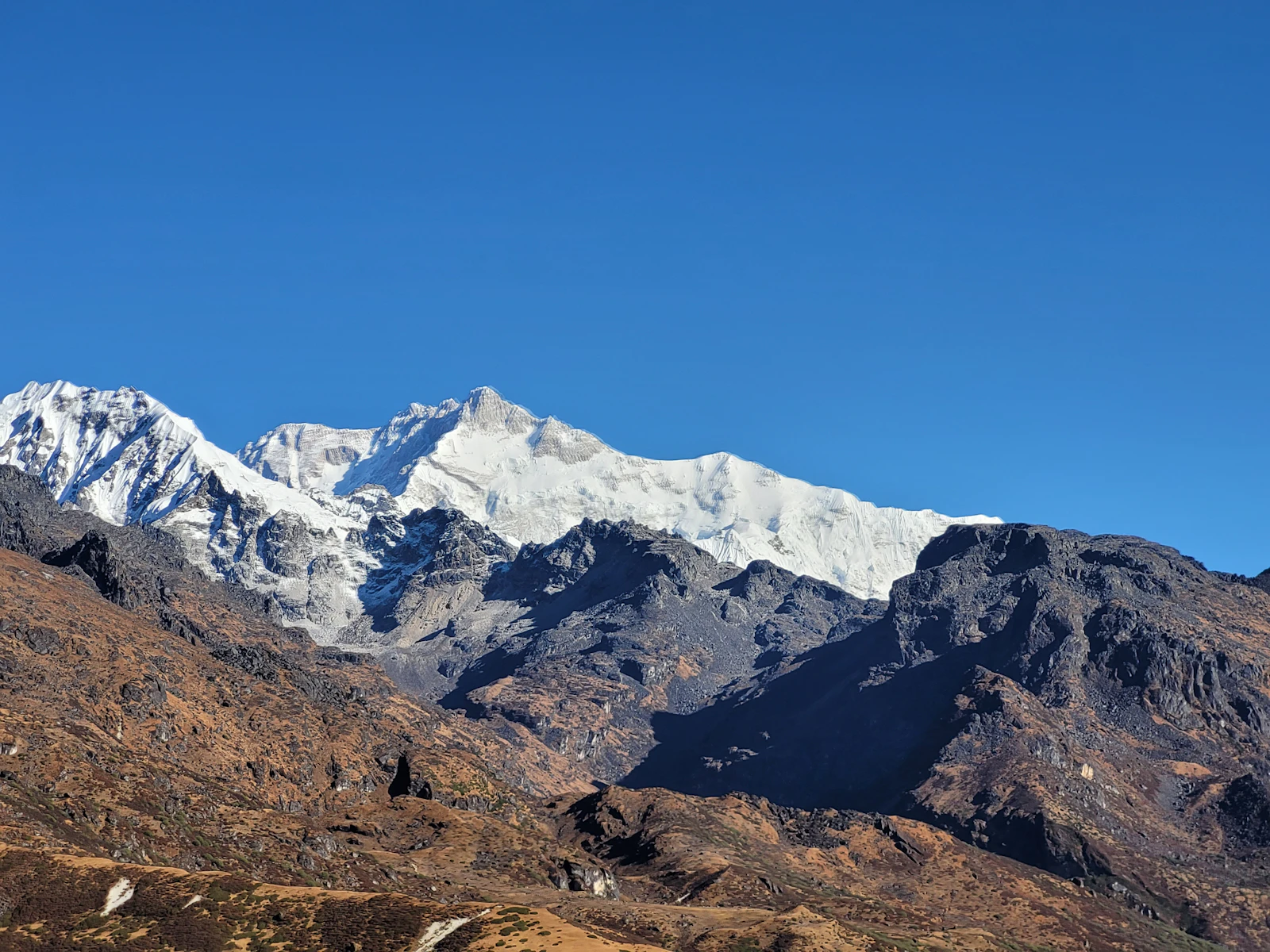 Snow summits of the Kanchenjunga range above dark rock ridges and russet autumn grass on a high trail in West Sikkim