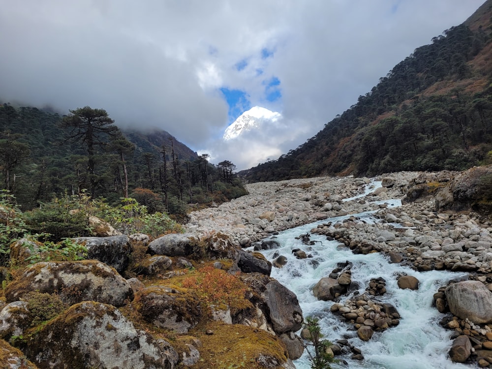 a river running through a rocky area