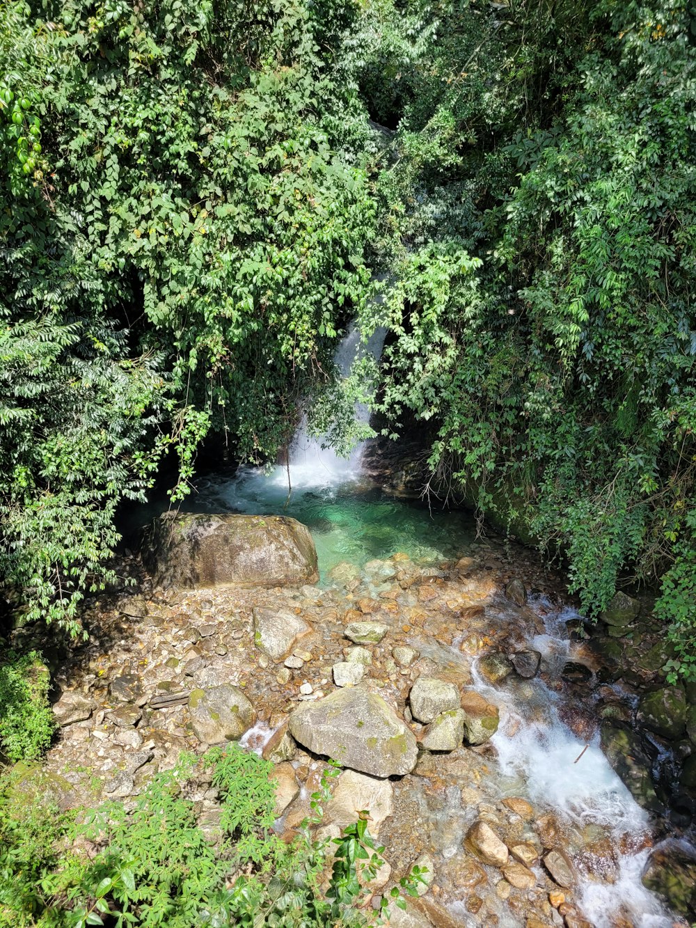 a small waterfall in a forest