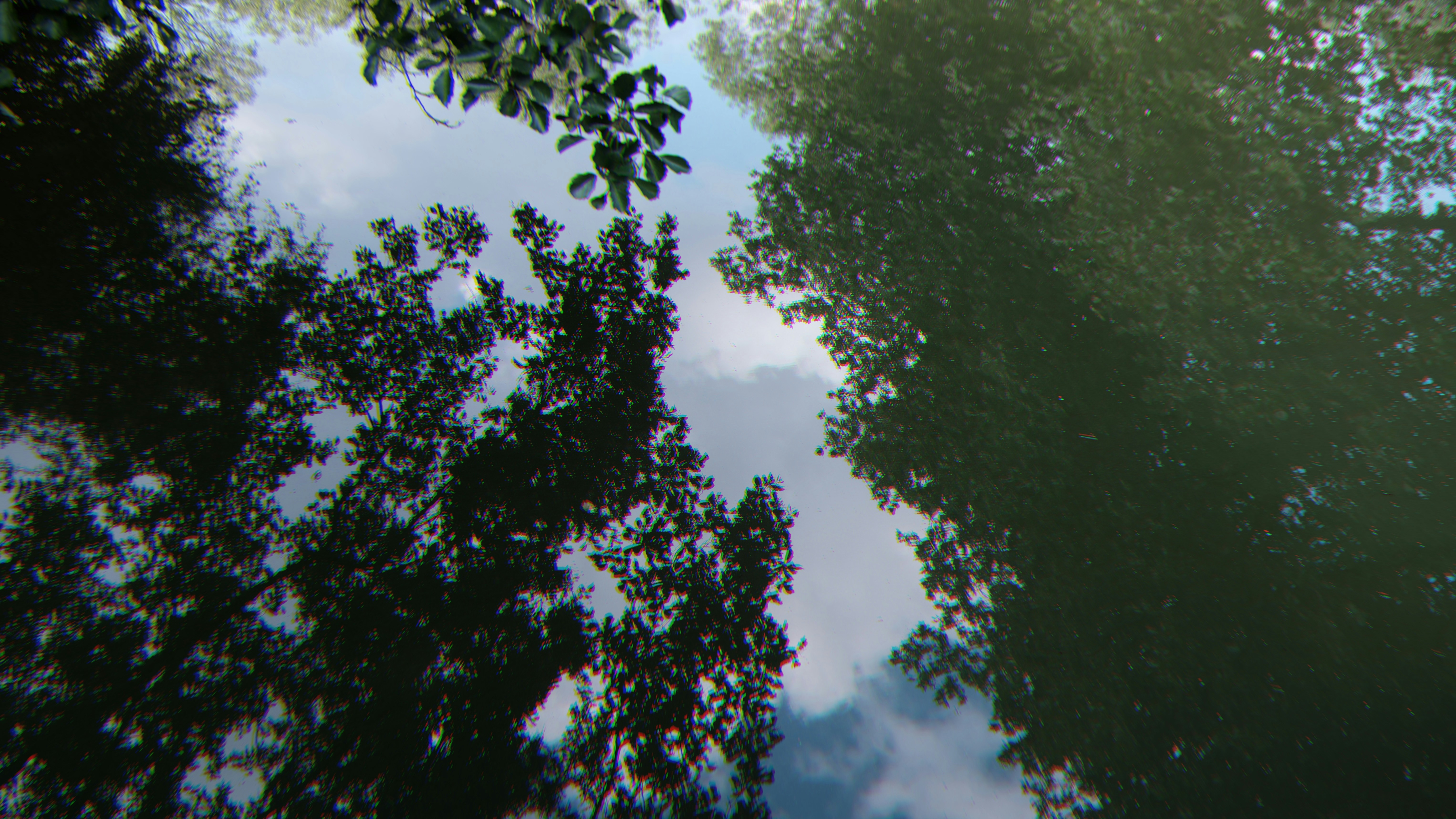 Trees with blue sky and clouds photo – Free Tree Image on Unsplash