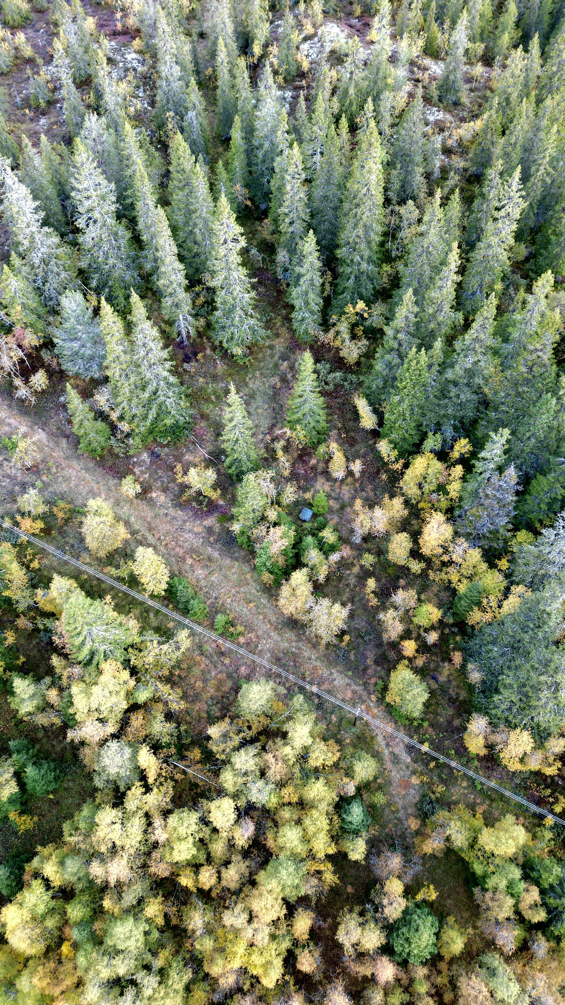 Photo by oskarhadland