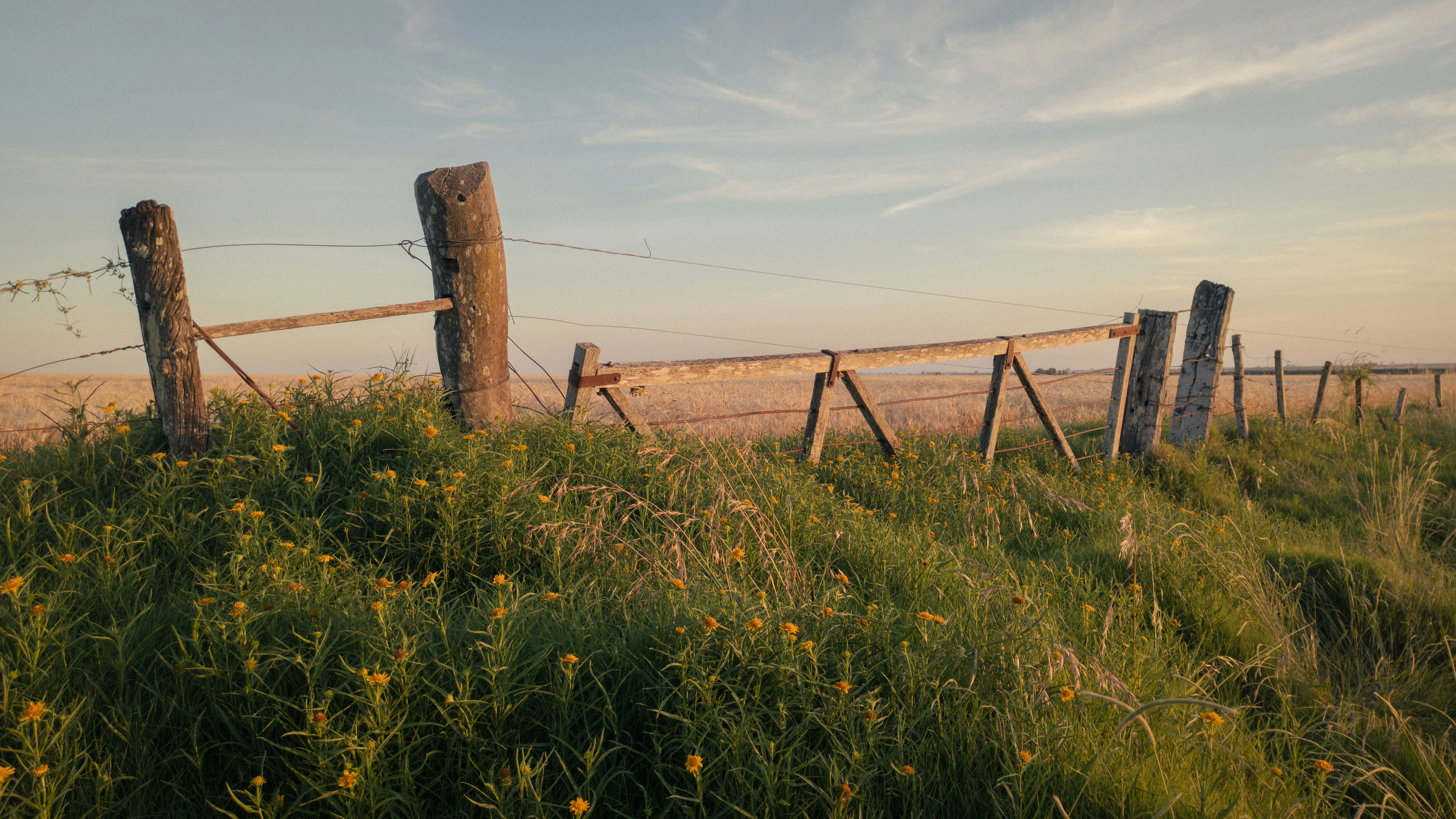 Photo by dariobonzi39