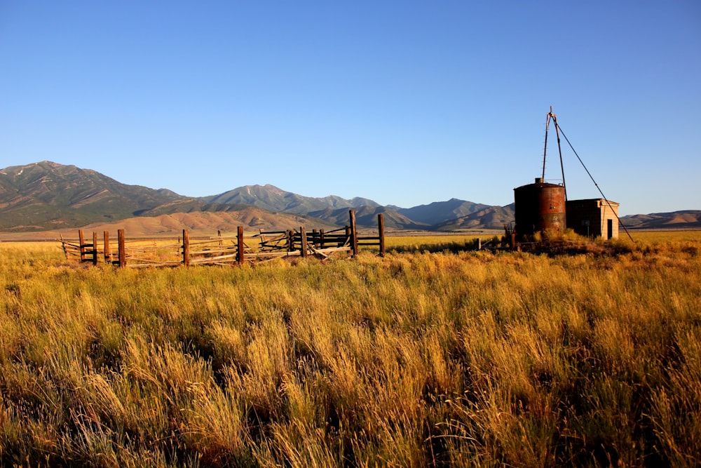 a fence in a field