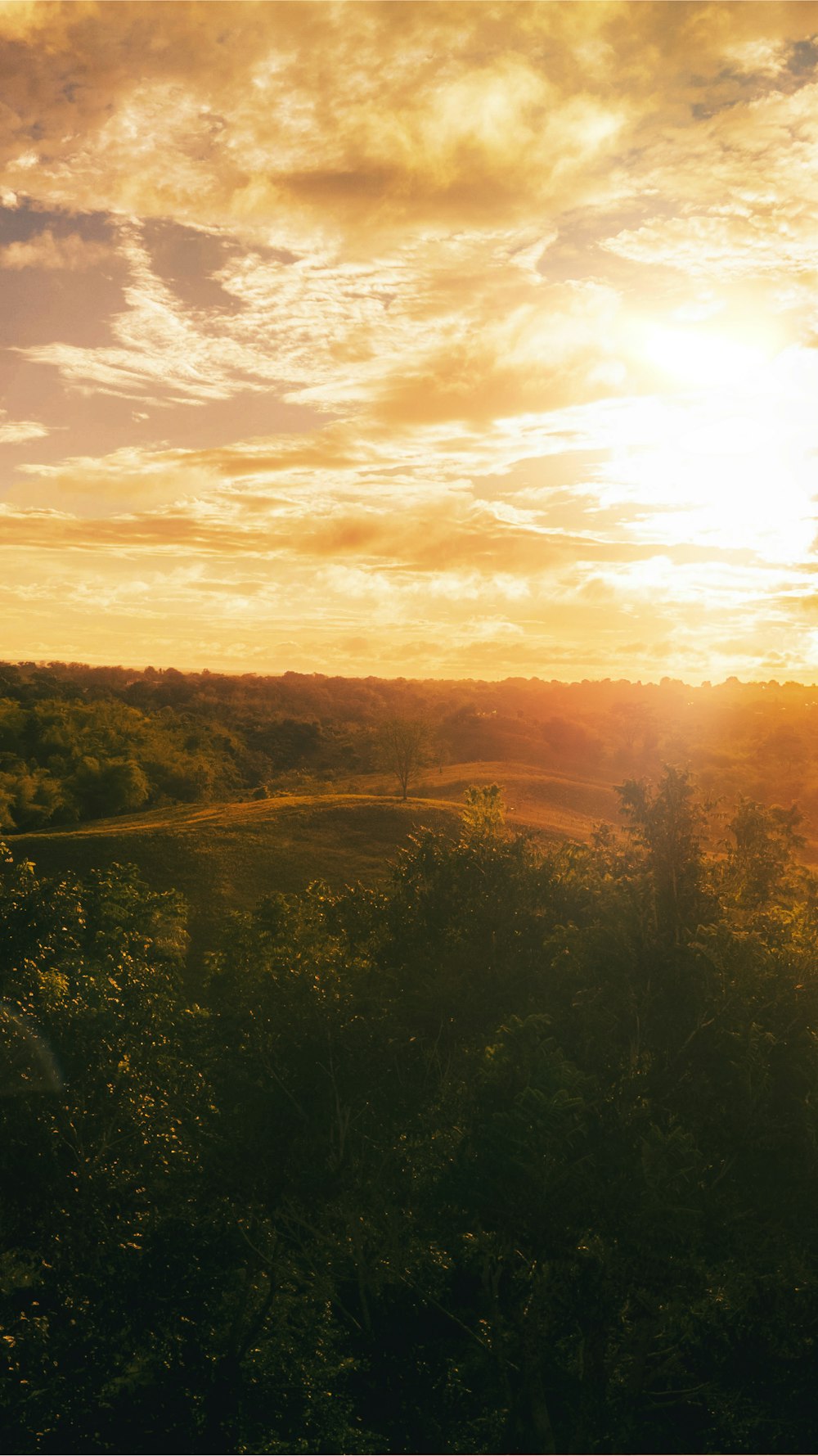 a landscape with trees and a body of water in the distance