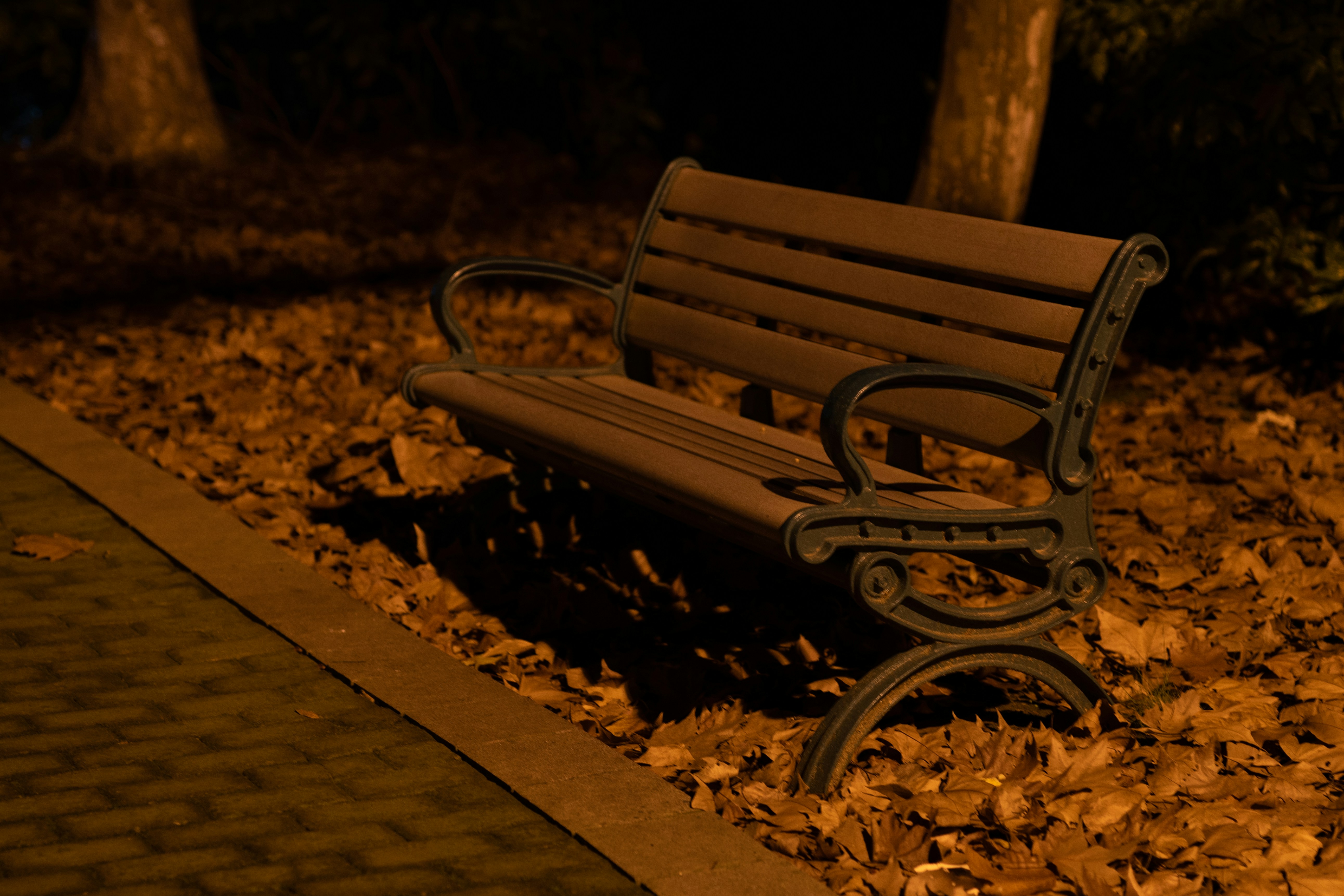 A park bench with a box of chocolates and a white feather resting on it, reminiscent of the Forrest Gump movie.