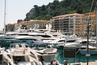 a marina full of boats