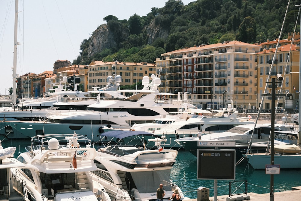 a marina full of boats