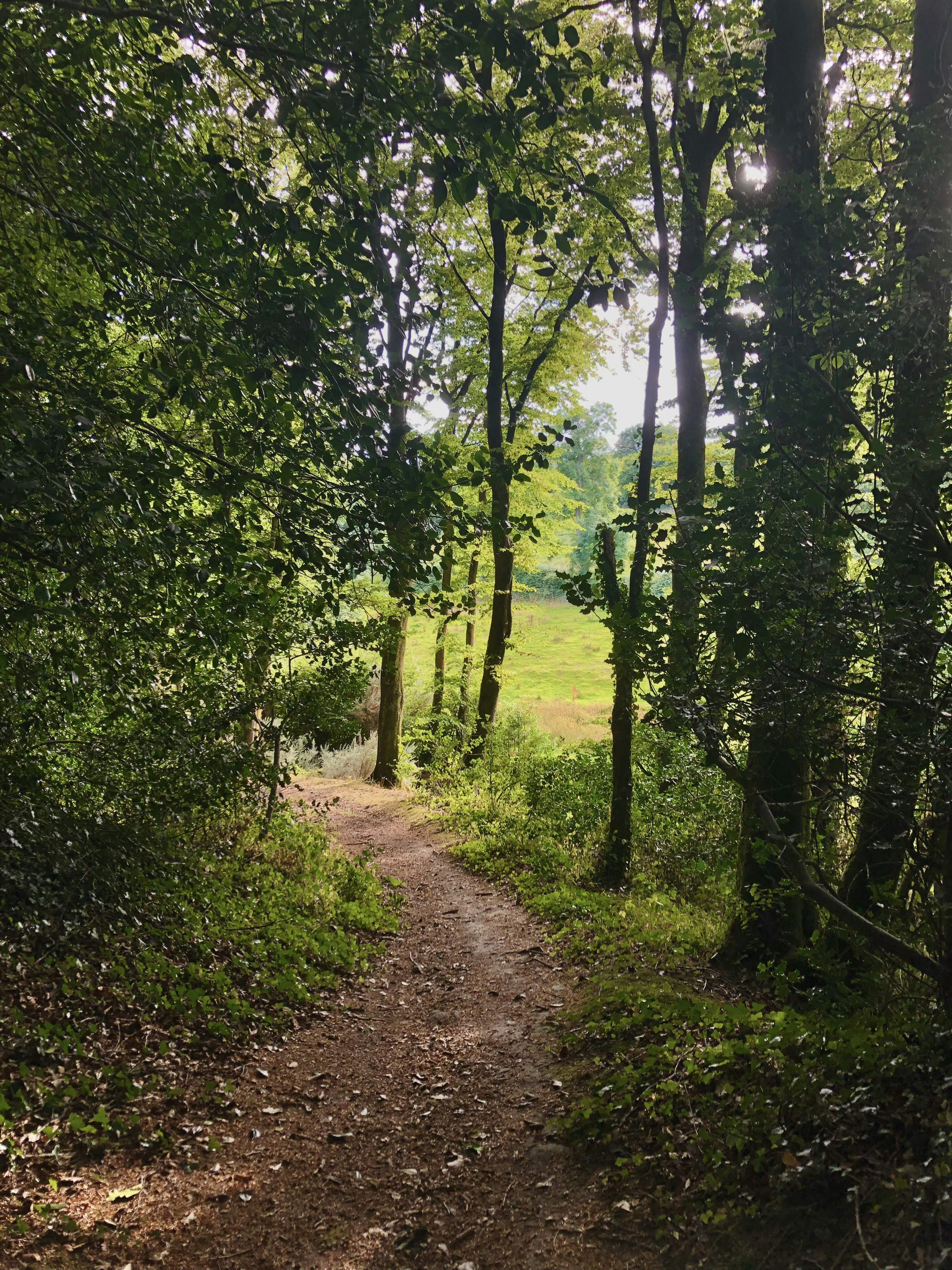 Photo by only_human39