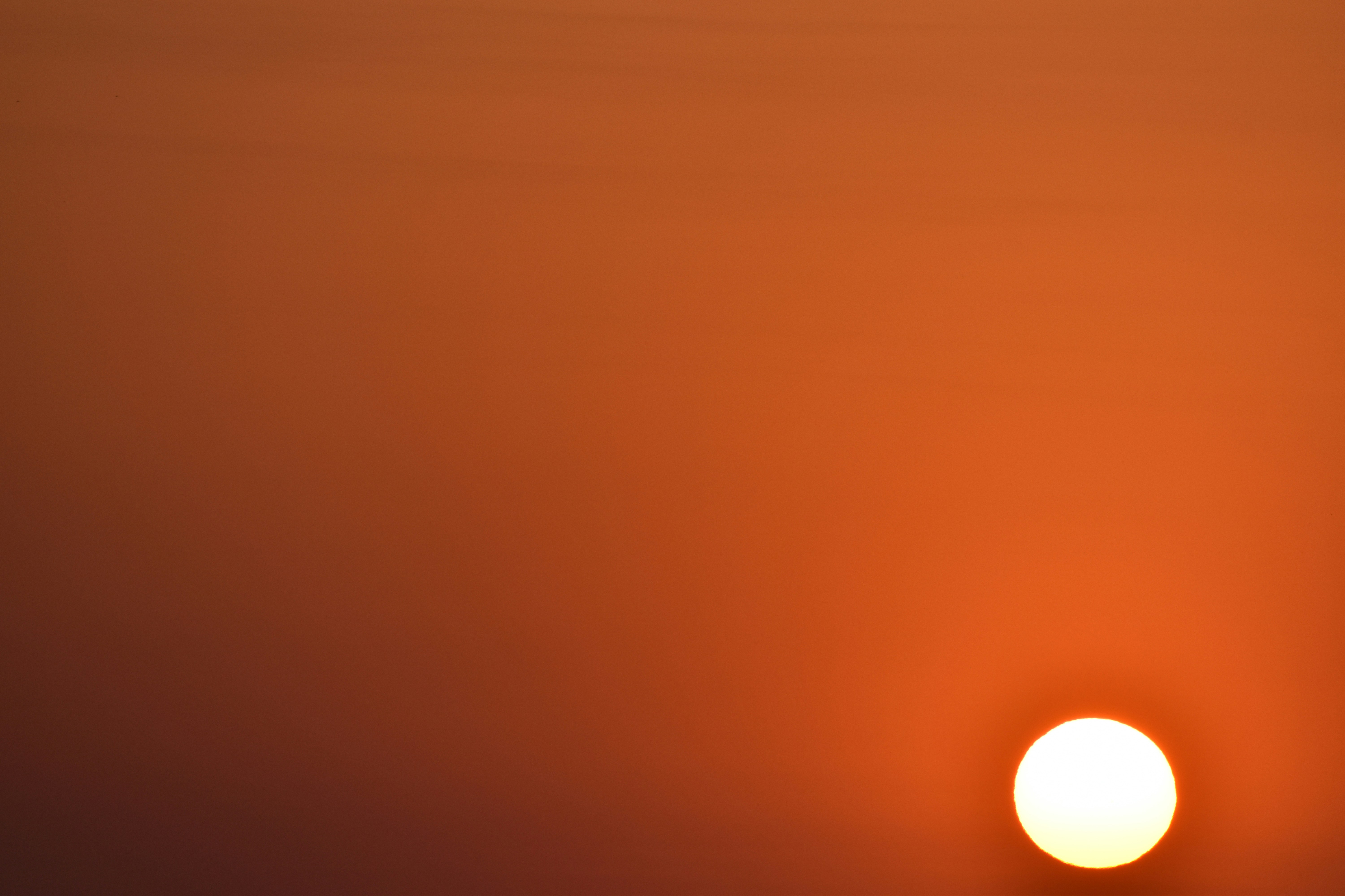 Photo by iamankurkhandelwal