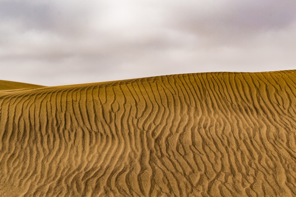 a field of brown grass