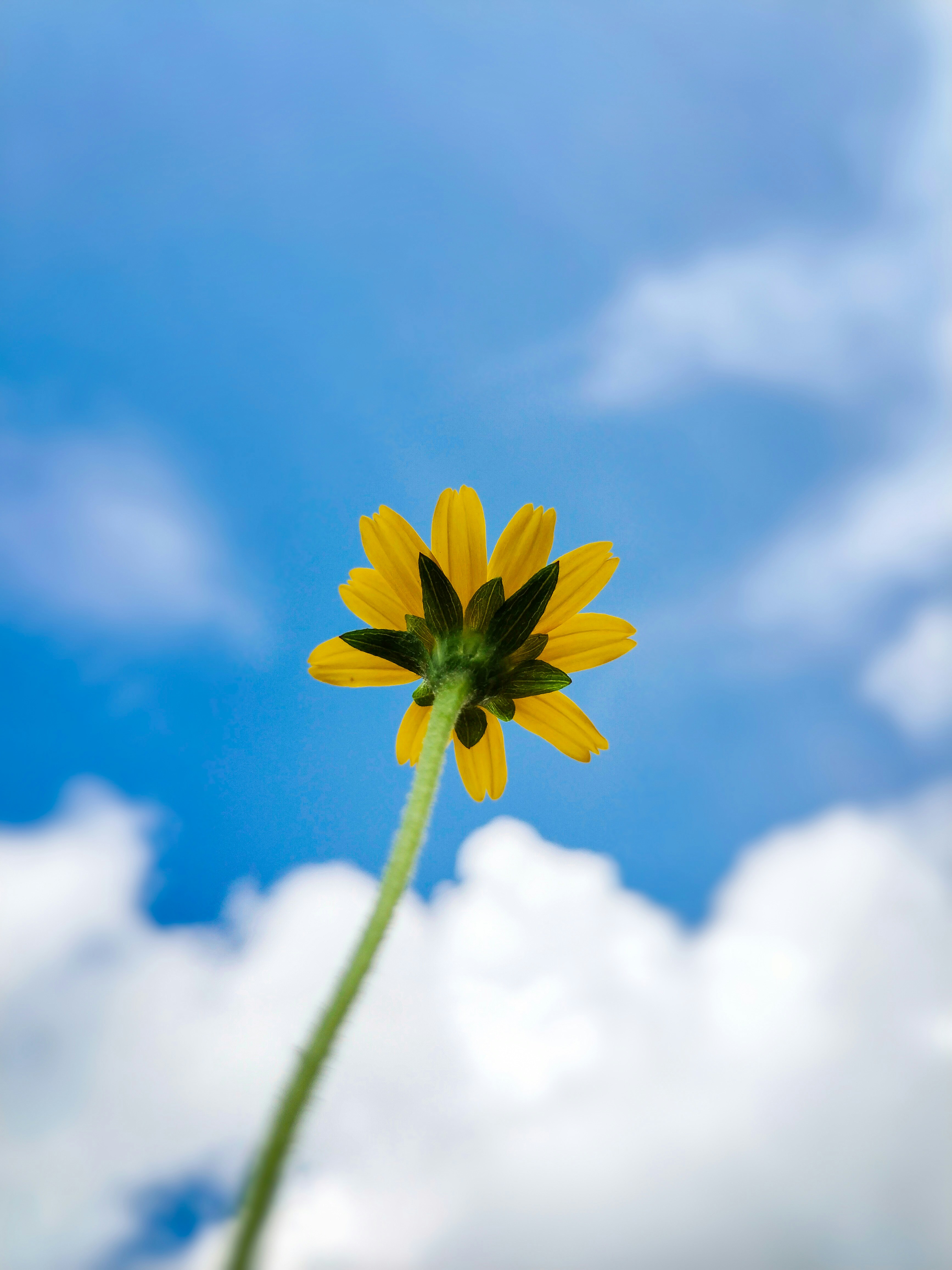 Photo by nizamphotographs