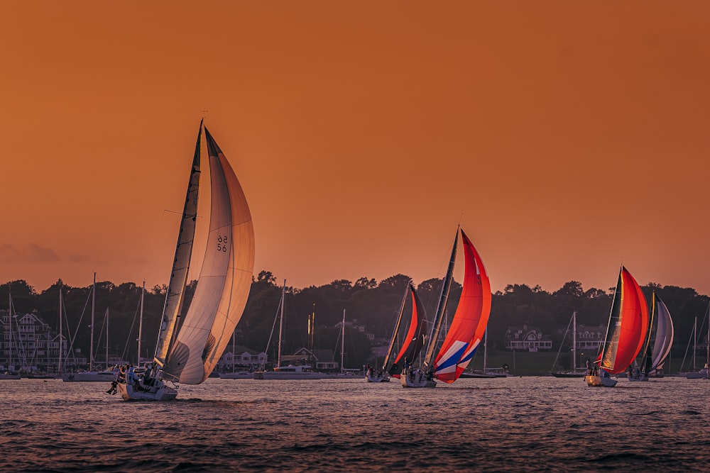 a group of sailboats on the water