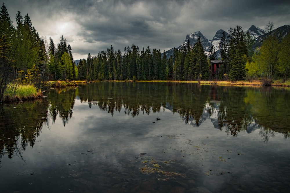 a lake with trees and mountains in the background