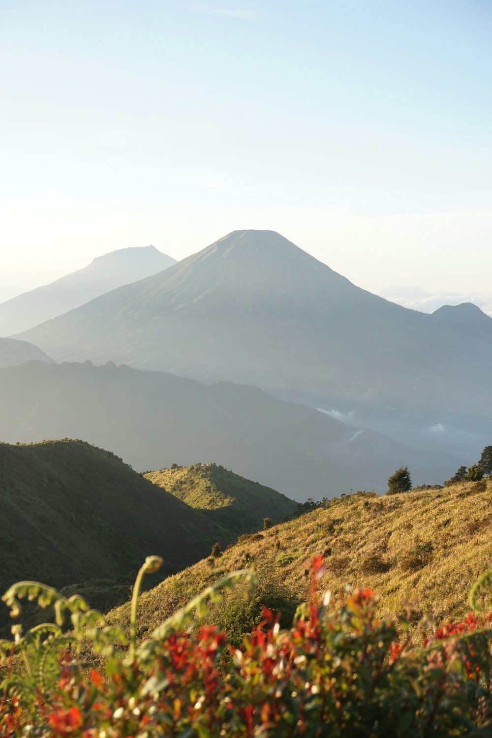 une colline herbeuse avec une montagne en arrière-plan