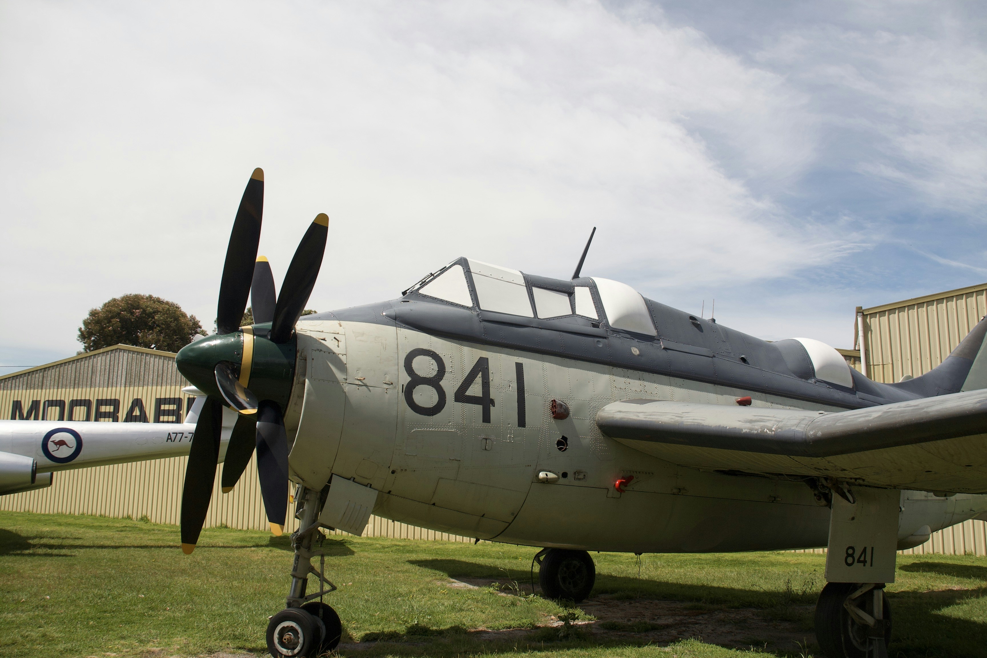 Photo by adventureplz