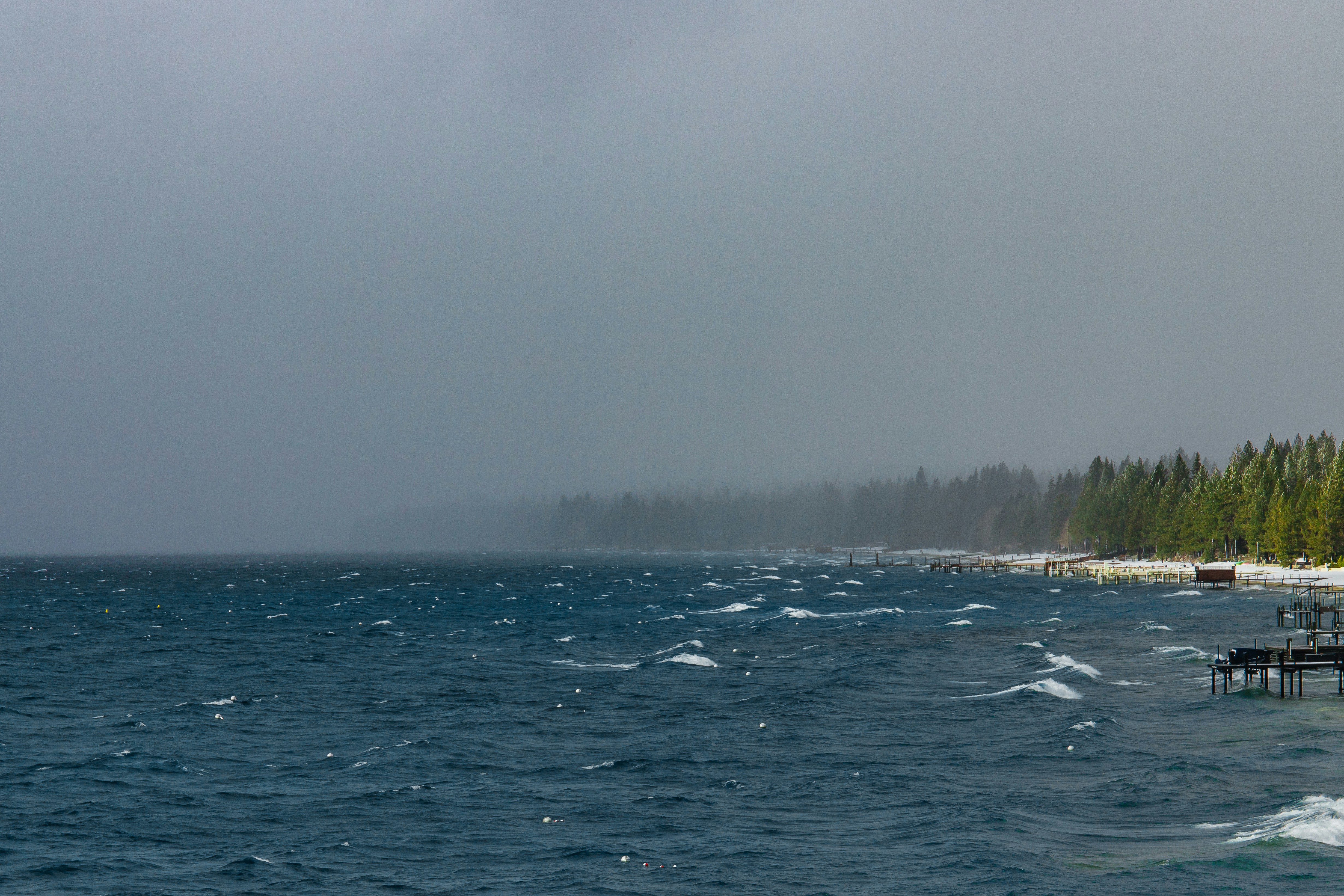 a body of water with trees in the back
