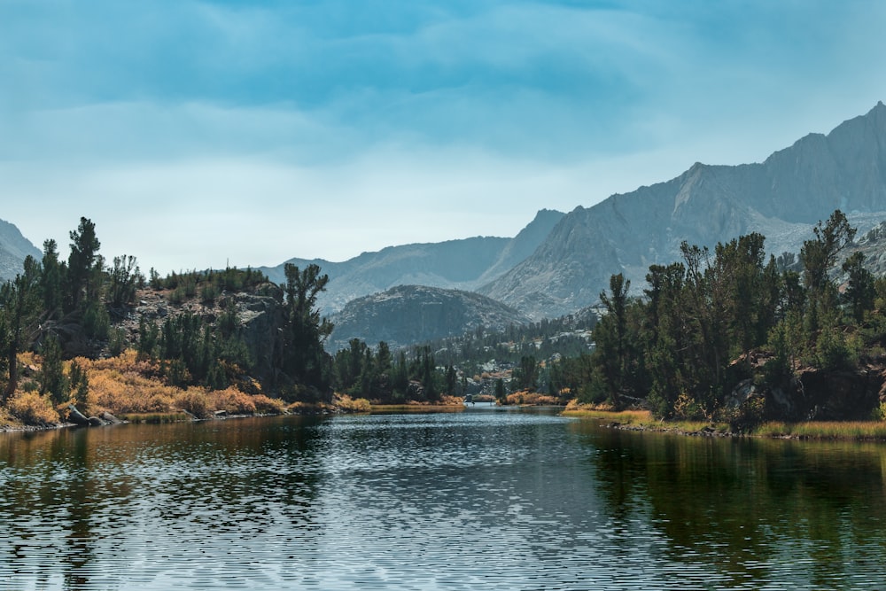 Un lago con árboles y montañas al fondo