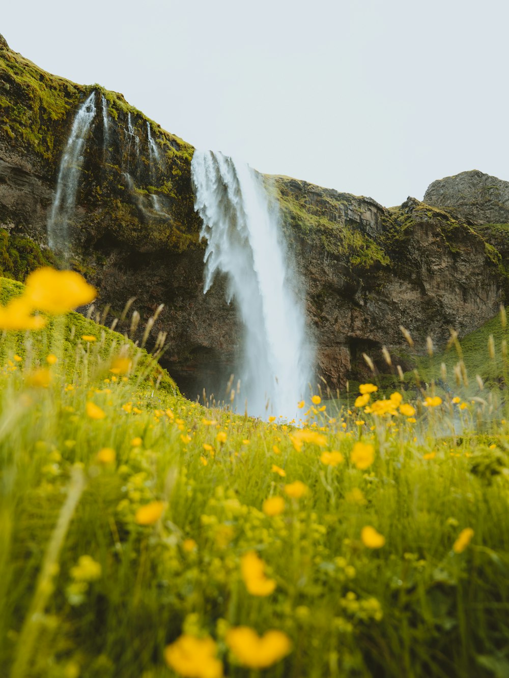 a waterfall in a grassy area