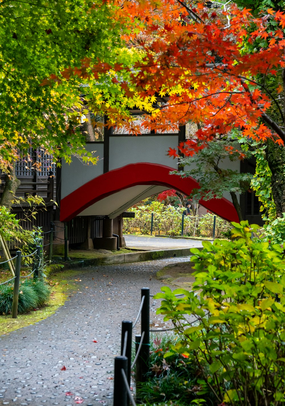 a walkway with trees and plants on the side