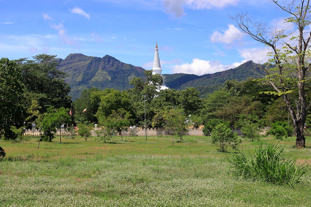 a grassy field with trees and a mountain in the background