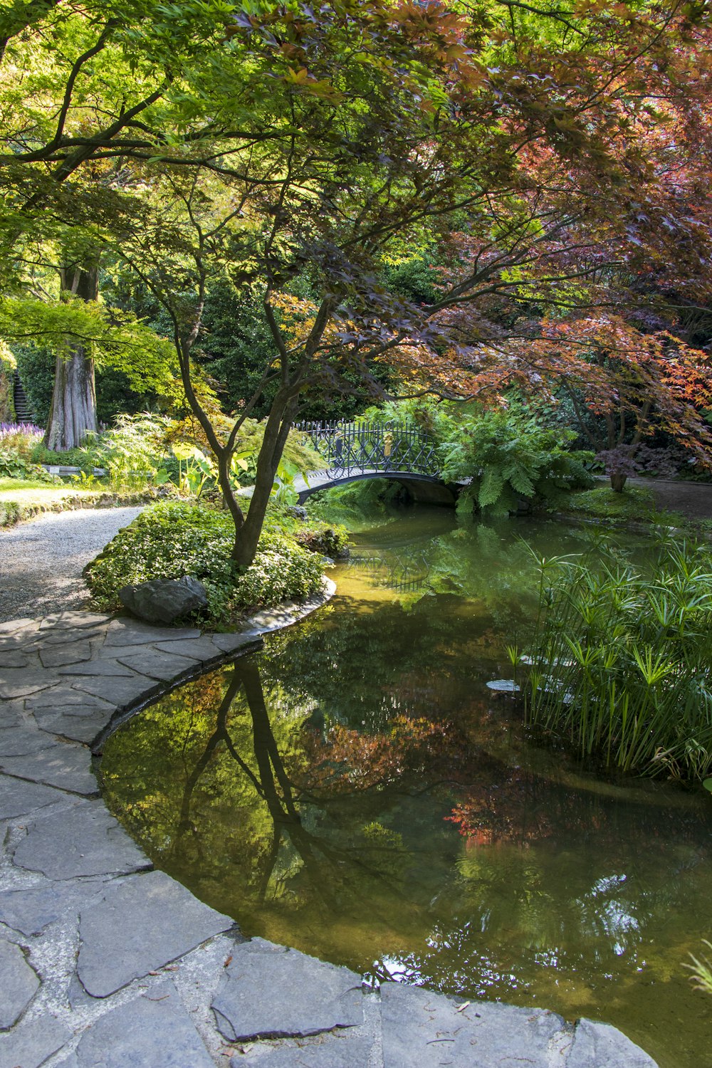 a pond with a bridge over it