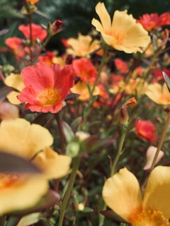 A vibrant close-up of tropical flowers in full bloom, capturing the essence of the wedding theme.
