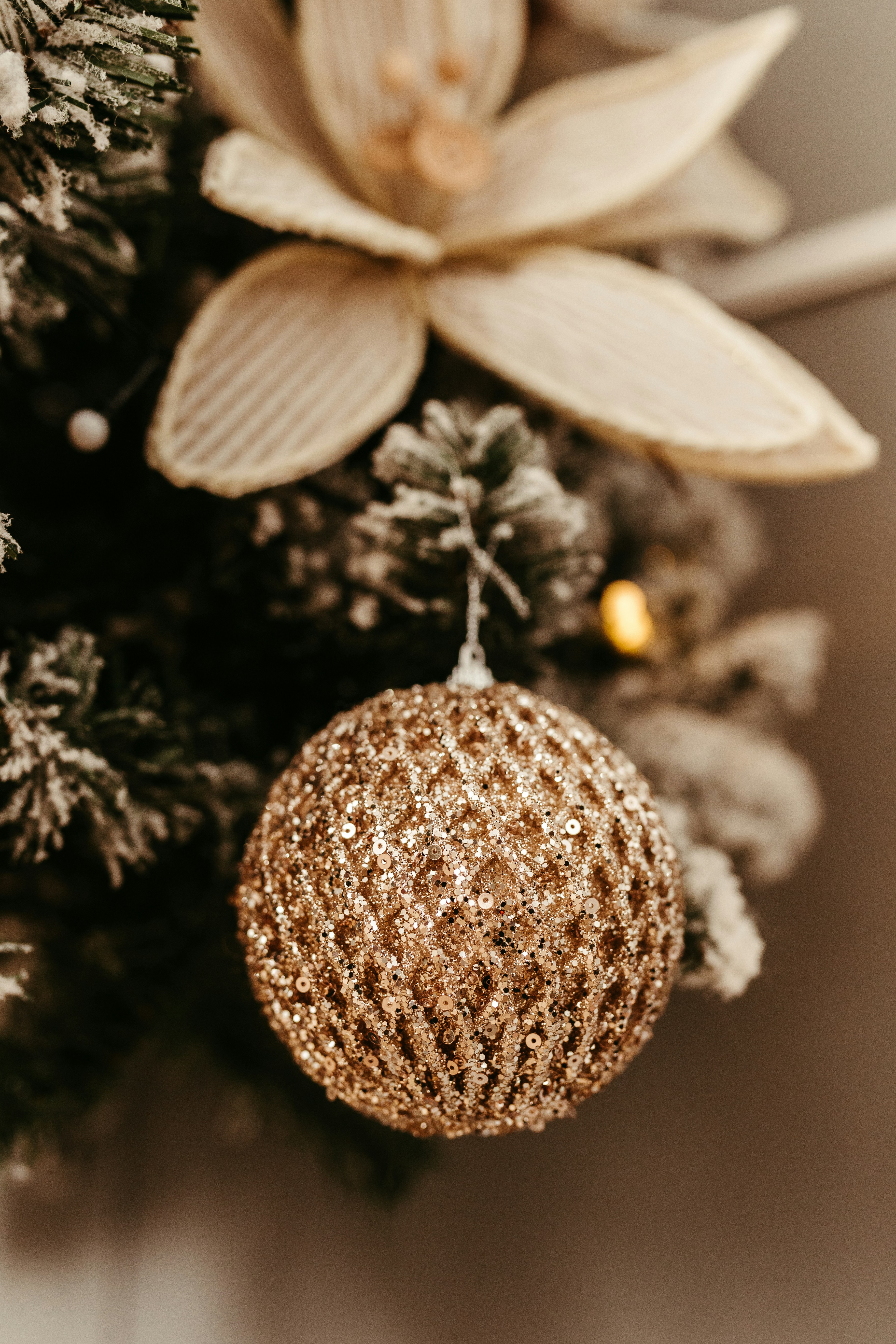 Christmas is the time to be jolly, and there's nothing jollier than Unsplash's collection of Christmas images. Trees, snow, christmas lights, and magical feasts: Unsplash has images of it all, and they're totally free to use.