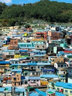a large group of houses