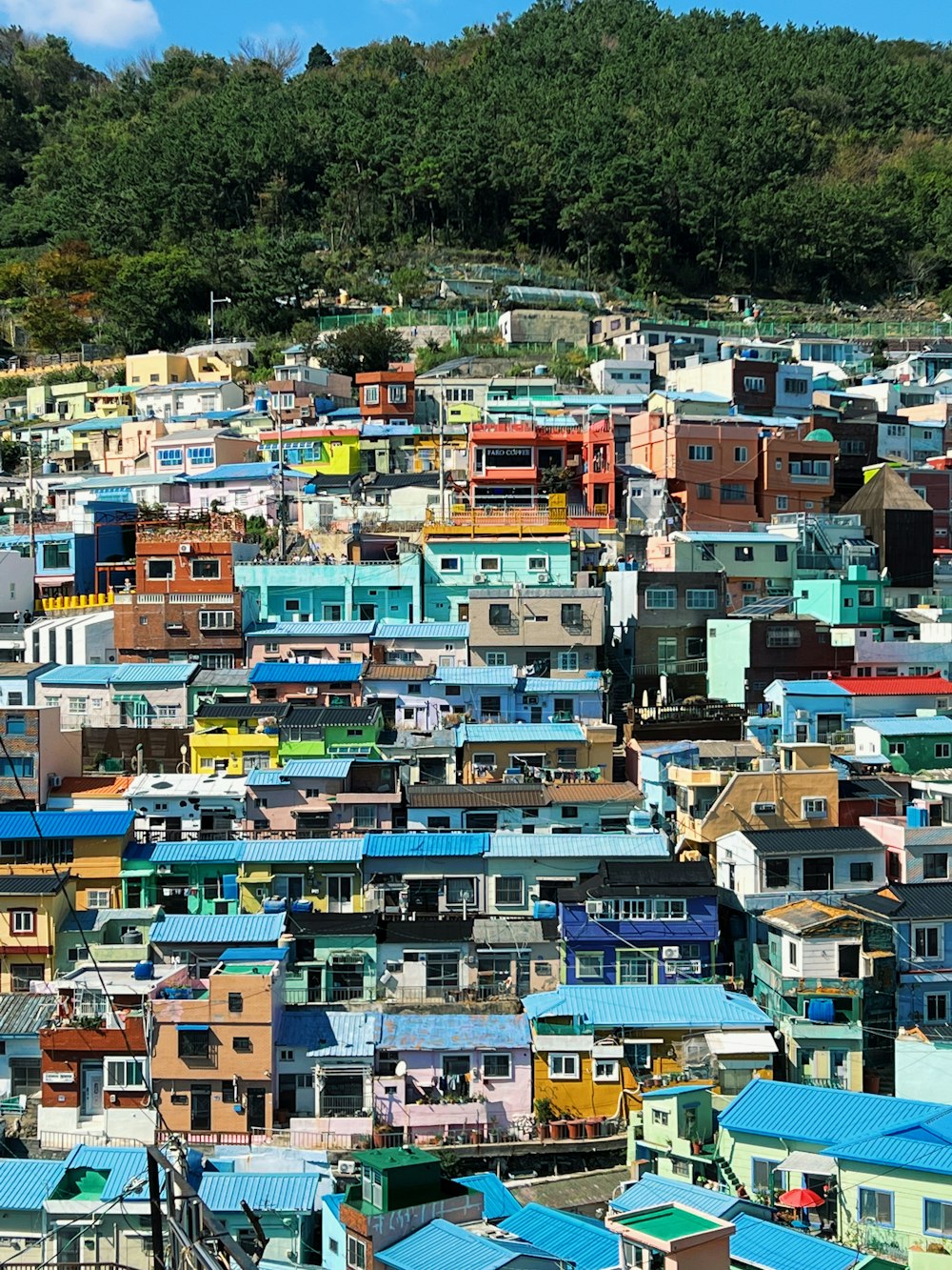 a large group of houses