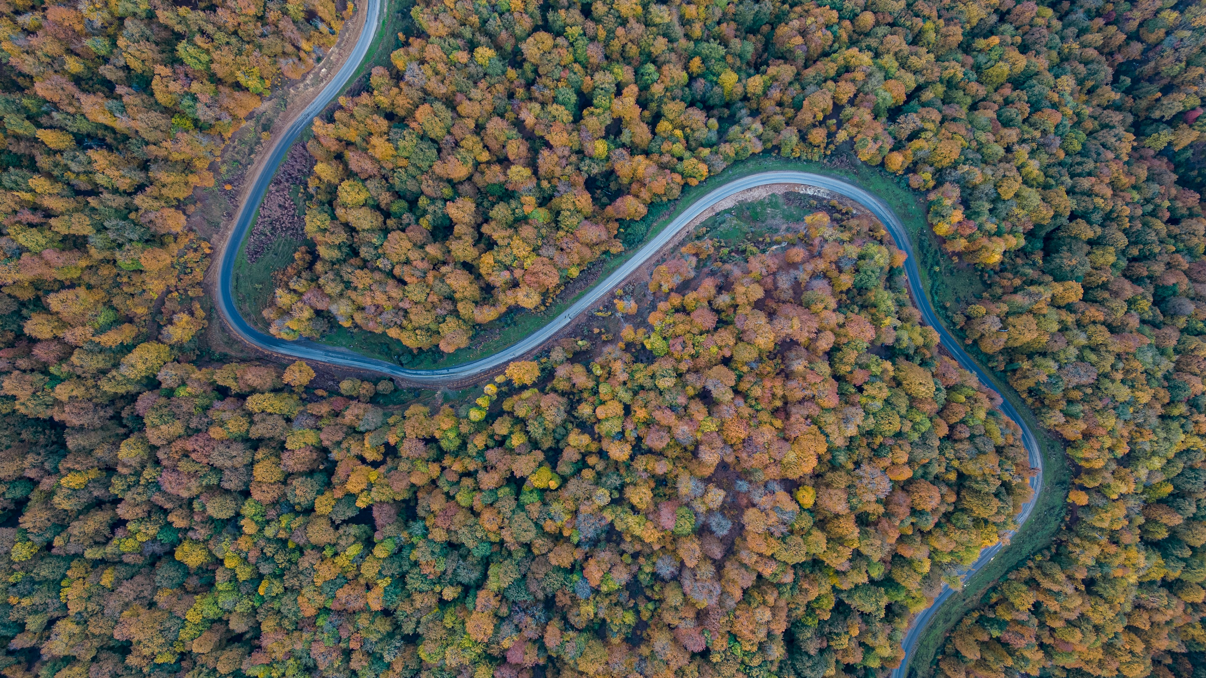 Photo by sajad_baharvandi