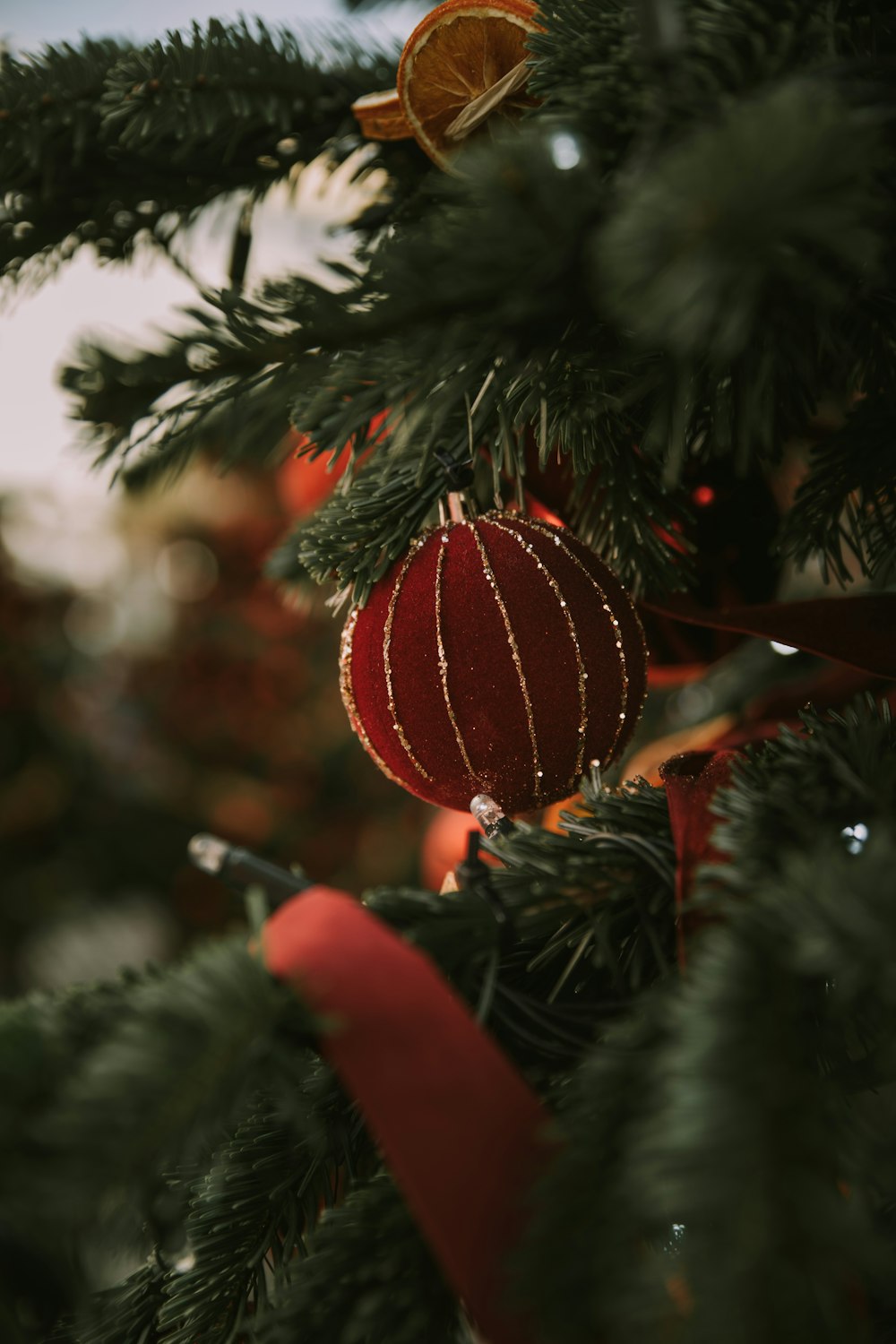 a pine tree with a red and white ball from it