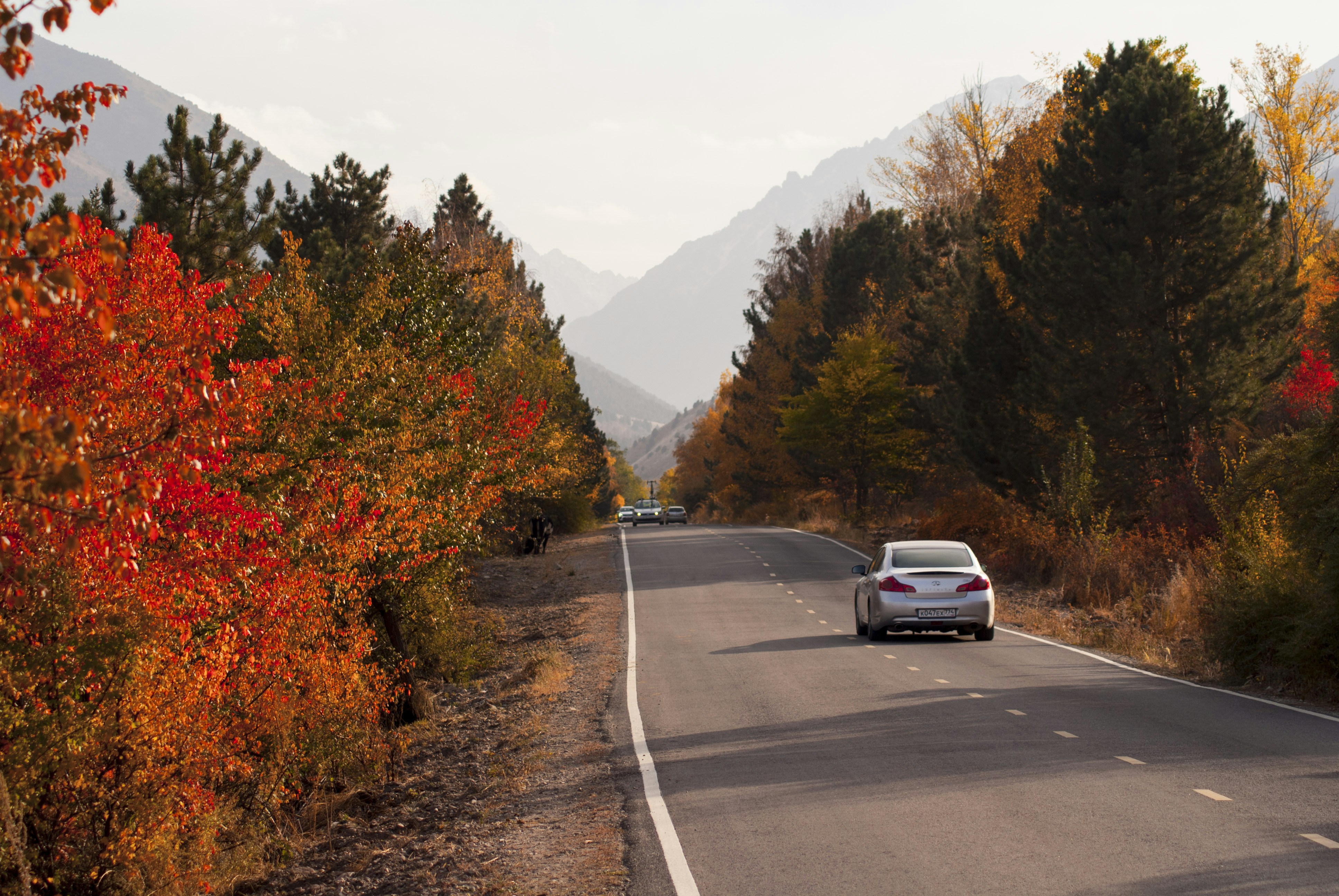An RV traveling down a scenic fall road surrounded by colorful autumn foliage