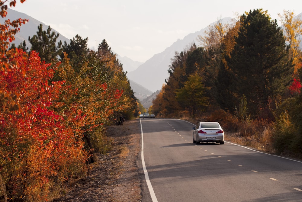 a road with cars on it and trees on the side