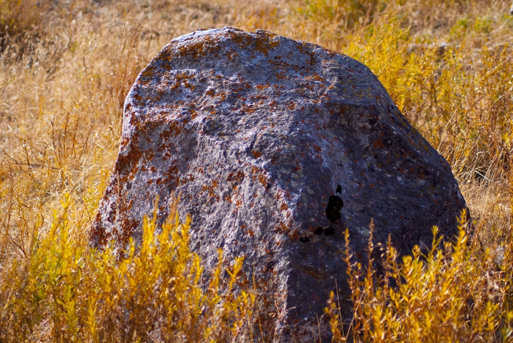 a large rock in a field