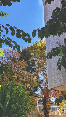Exterior view of a residential building surrounded by trees in autumn colors.