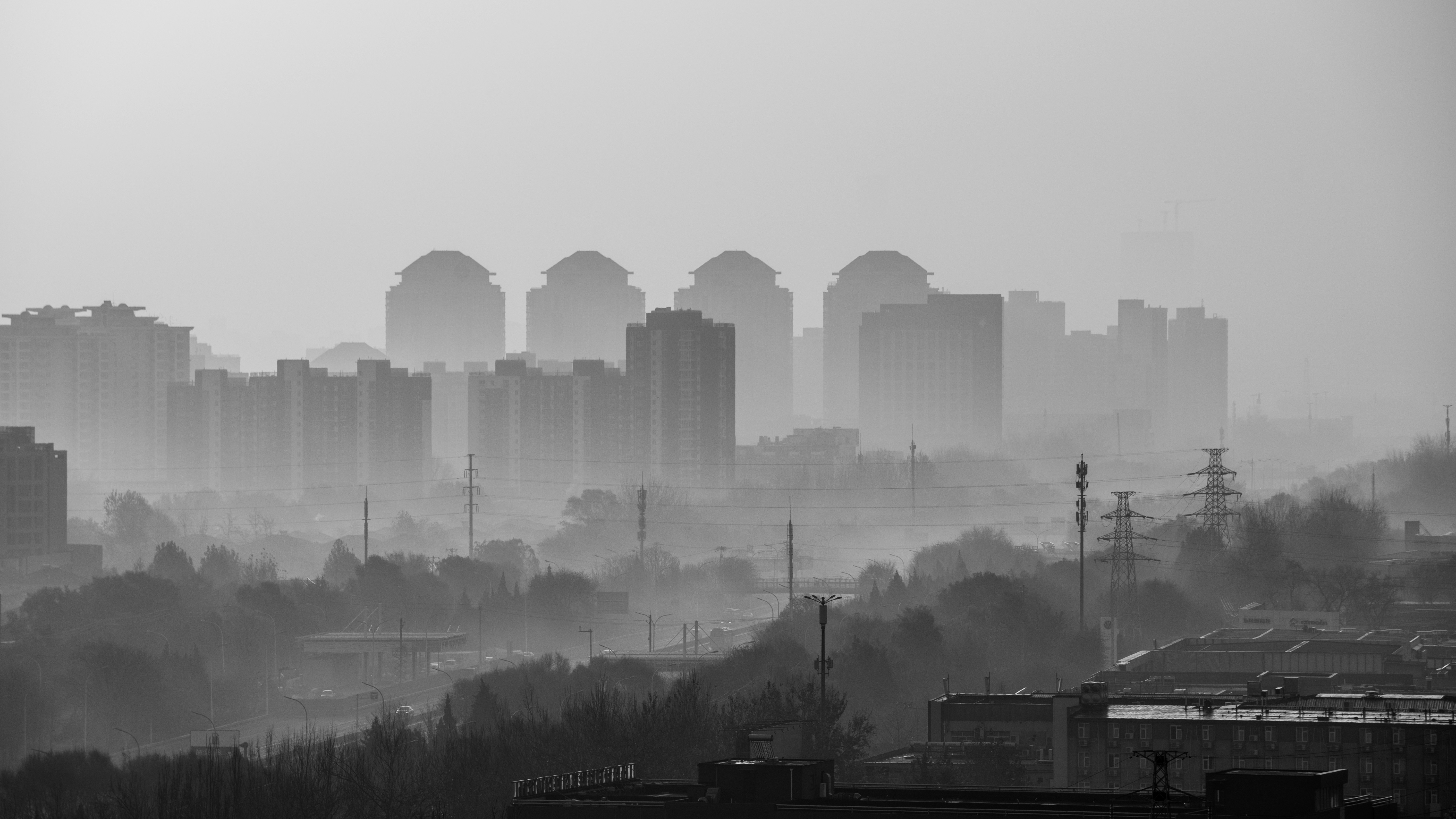 Photo by peek_a_boo_who